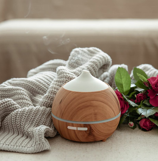humidifiers Services in Bridgetown, Ohio